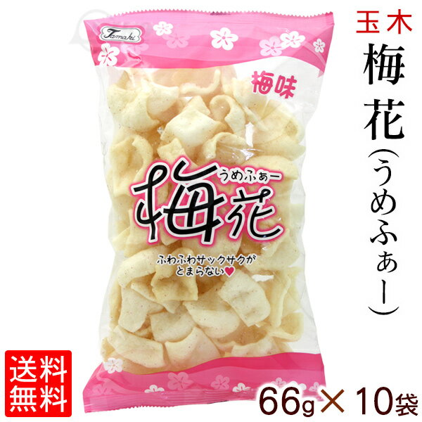 梅花 うめふぁー 66g×10袋セット 送料無料 梅味 パウダー 沖縄お土産 お取り寄せ おやつ おつまみ お菓子 玉木製菓 スナック 揚菓子 駄菓子 サクサク ローカル 沖縄 ご当地