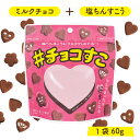 チョコすこ 60g 大人気 沖縄土産 お土産 ひとくち サイズ 食べやすい ちんすこう 塩ちんすこう チョコレート チョコ スナック お菓子 菓子 おやつ 新定...