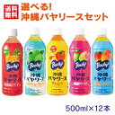 選べる沖縄バヤリースセット 500ml×12本（3本×4セット）