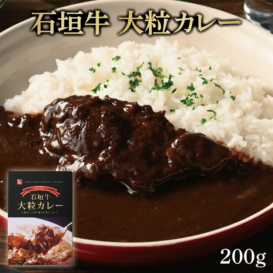 全国お取り寄せグルメ沖縄カレーNo.6