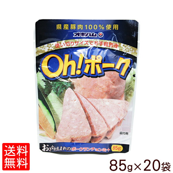 全国お取り寄せグルメ沖縄肉・肉加工品No.26