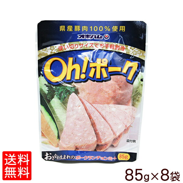 全国お取り寄せグルメ沖縄肉・肉加工品No.29