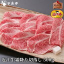 「近江牛 霜降り 切り落とし 500g」和牛 国産 牛肉 切落し ブランド牛 すき焼き しゃぶしゃぶ 肉 お肉 お中元 御中元 夏ギフト 2025 グルメ ギフ...