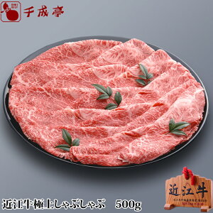 口溶けの良い霜降り肉が絶品の滋賀県の美味しい近江牛のおすすめは？