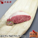 母の日 プレゼント 飛騨牛 モモ 焼肉 500g 【送料無料】 【A5等級】 赤身 赤身肉 岐阜県 お中元 2024 飛騨牛 グルメ 飛騨牛 ギフト 牛肉 贈り物 黒毛和牛 シンタマ イチボ ランプ 肉 プレゼント