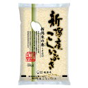 堀商店 令和5年産 新潟こしいぶき5kg｜お取り寄せ つきたて