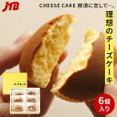 いづみや CHEESE CAKE チーズケーキ 6個入【栃木 お土産】|栃木土産 銘菓 栃木お土産 おみやげ みやげ お菓子 プレゼント ギフト 手土産 洋菓子...