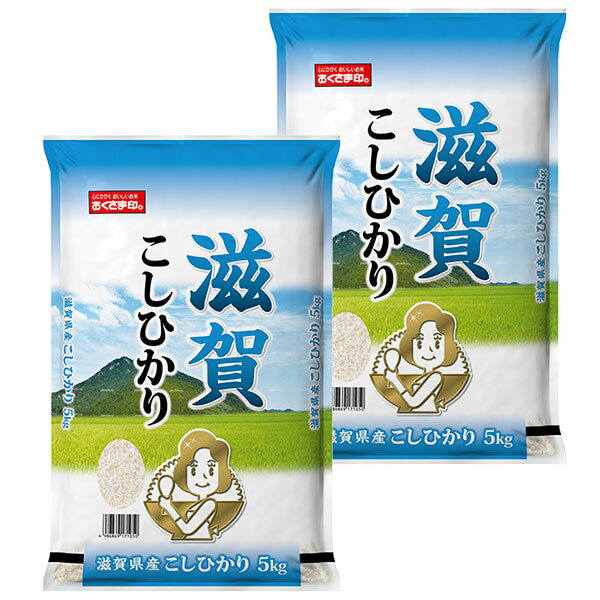 米 令和6年産 滋賀県コシヒカリ 10kg おくさま印|お取り寄せ お米 こしひかり 10キロ