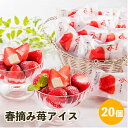 アイスクリーム 春摘み苺アイス 20個入り AH-HAA|ギフト スイーツ デザート アイス 詰め合わせ