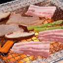 宮崎 SPF日南もち豚 豚肉 バラ焼肉用 500g| 焼き肉 お取り寄せ グルメ