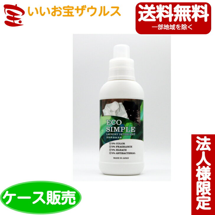 【送料無料・法人限定】ロケット石鹸 エコシンプル衣料用液体洗剤 600ml×20個[法人限定・ケース販売・メーカー段ボール・まとめ買い]送料無料(一部地域除く)
