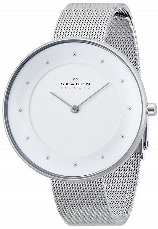 SKAGEN スカーゲン 腕時計 SKW2140 レディース【並行輸入品】