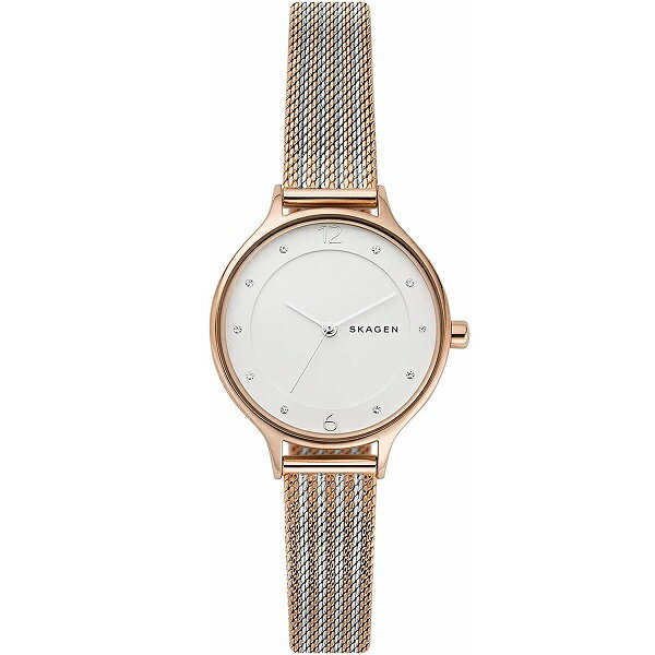 SKAGEN  ӻ SKW2749 ǥ¹͢ʡ