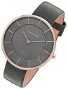 スカーゲン SKAGEN スカーゲン 腕時計 SKW2613 ボーイズ