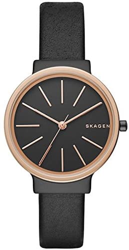 スカーゲン ビジネス腕時計 レディース SKAGEN スカーゲン 腕時計 SKW2480 レディース