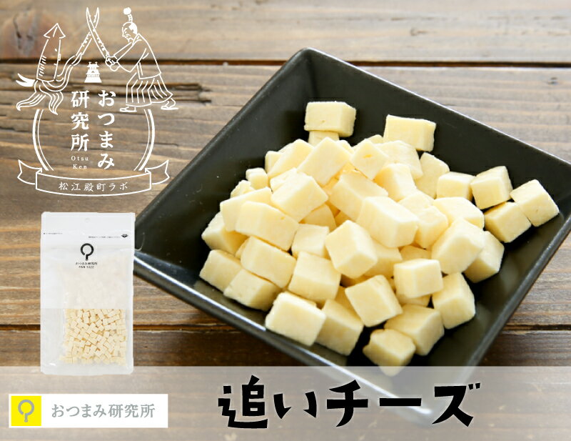 追いチーズ 100g / 【送料無料メール便】おつまみ研究所 フリーズドライチーズ ナチュラルチーズ トッピング ミックスナッツ ビール 日本酒 焼酎 ワイン 珍味