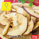 りんごチップス 50g スタンドパック 国産 おつまみ研究所【317】