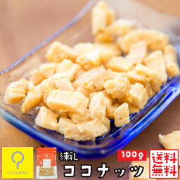 練乳ココナッツ100g / 【送料無料メール便】おつまみ研究所