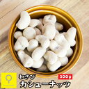 わさび カシューナッツ 300g / 業務用 おつまみ研究所