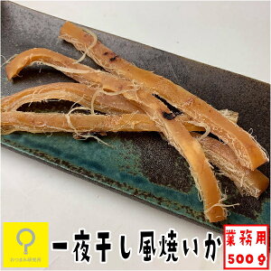 一夜干し風焼いか 500g 5月から9月は250g入りを2パックでお届け / 送料無料 国内加工 おつまみ研究所