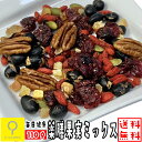 薬膳果実ミックス 110g / 【送料無料メール便】おつまみ研究所 その1