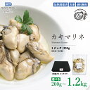 【ポイント最大10倍】加熱調理済・冷凍|カキマリネ【1パック(200g/約20〜25粒)〜 6パック(1.2kg)】兵庫県 網干産牡蠣使用 牡蠣マリネ オイル漬...