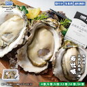 生食用 殻付き 岩牡蠣 長崎県 五島列島産『椿』 (約160〜200g/個) S【6個/8個/12個/16個/24個】特許取得済 海洋深層水で浄化された安心・安...