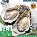 生食用 殻付き 岩牡蠣 長崎県 五島列島産『椿』超特大サイズ(約300g以上〜/個)3L【4個/6個/8個/12個】特許取得済 海洋深層水で浄化された安心・安全...