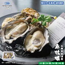 生食用 殻付き 真牡蠣 兵庫県 室津産『がき大将』夏でも美味しいシングルシード養殖【12個/24個/36個/48個】特許取得済 海洋深層水で浄化された安心・安全...