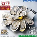 11日9:59迄ポイント&クーポン配布中!生食用 殻付き 真牡蠣 バイヤー厳選旬の2産地食べ比べセット【12個/18個/24個/36個/48個】28店舗のオイスターバーを展開するゼネラル・オイスター 特許取得済!海洋深層水で浄化 安全な生牡蠣【軍手・説明書入(牡蠣ナイフ+270円)】