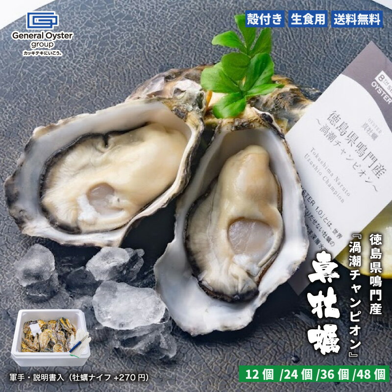 生食用 殻付き 真牡蠣 徳島県 鳴門産『渦潮チャンピオン』【12個/24個/36個/48個】特許取得済 海洋深層..