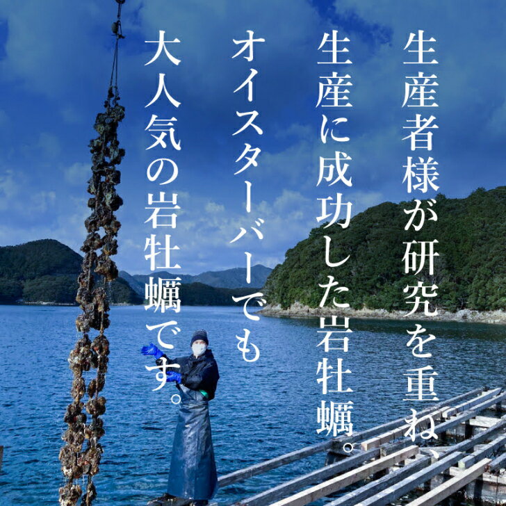 11日9:59迄最大20%OFFクーポン配布中！生食用 殻付き 岩牡蠣 長崎県 五島列島産『椿』超特大 3Lサイズ（約300g以上～/個）【4個/6個/8個/12個】特許取得済 海洋深層水で浄化された安心・安全な生牡蠣 【軍手・説明書入（牡蠣ナイフ+270円）】 冷蔵 牡蛎 希少 父の日 ギフト 3