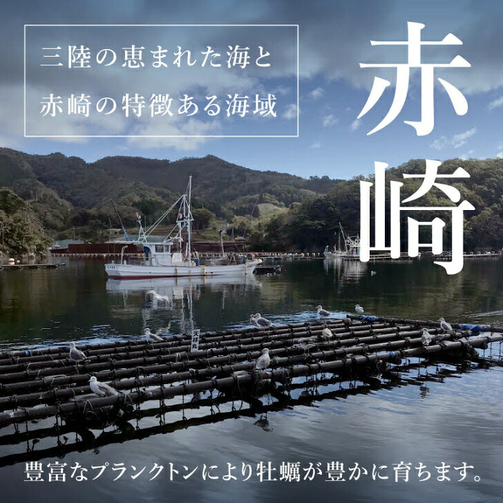 生食用 殻付き 真牡蠣 岩手県 赤崎産【12個/24個/36個/48個】無選別・大きさ不揃い・特許取得済 海洋深層水で浄化された安心・安全な生牡蠣 【軍手・説明書入（牡蠣ナイフ+270円）】おうちでオイスターバー 冷蔵 かき カキ お中元 贈り物 贈答品プレゼント ギフト e-oyster-10000196 生牡蠣通販サイト e-oyster サンプル画像2