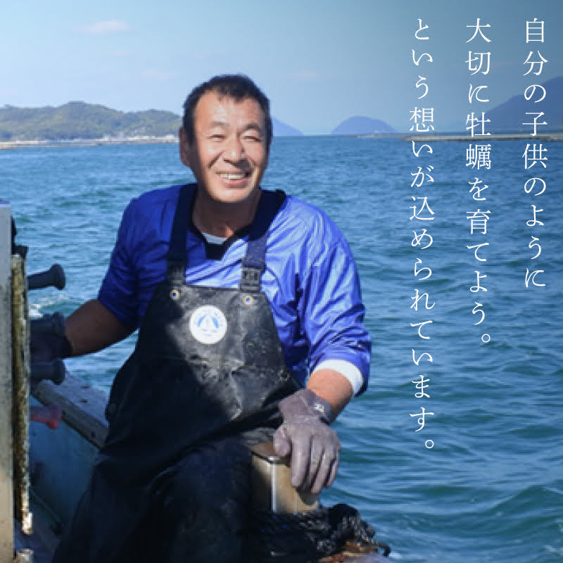 ������ ���դ� ������ ��� �������ؤ�礦�����ڡ١�12��/24��/36��/48�ġ��õ������� ���ο��ؿ�Ǿ������줿�¿��������������� �ڷ��ꡦ���������ʲ��ڥʥ���+270�ߡˡۤ������ǥ����������С� ��¢ ���� ���� ����