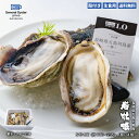 【GW中もお届け】生食用 殻付き 岩牡蠣 『椿』Sサイズ（約170〜235g/個）【4個/8個/12個/16個/24個】長崎県 五島列島産 特許取得済！海洋深層水で浄化された安心・安全なゼネラル・オイスターの生牡蠣 【軍手・牡蠣むきナイフ・説明書入】カキ かき 冷蔵 ギフト プレゼント