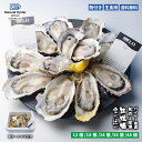 生食用 殻付き 真牡蠣 2産地 食べ比べセット【12個/18個/24個/36個/48個】 全国に27店舗のオイスターバーを展開するゼネラル オイスターグループ 特許取得済 海洋深層水で浄化された安心 安全な殻付き生牡蠣 冷蔵 【軍手 牡蠣むきナイフ 説明書入】牡蠣 カキ 牡蛎