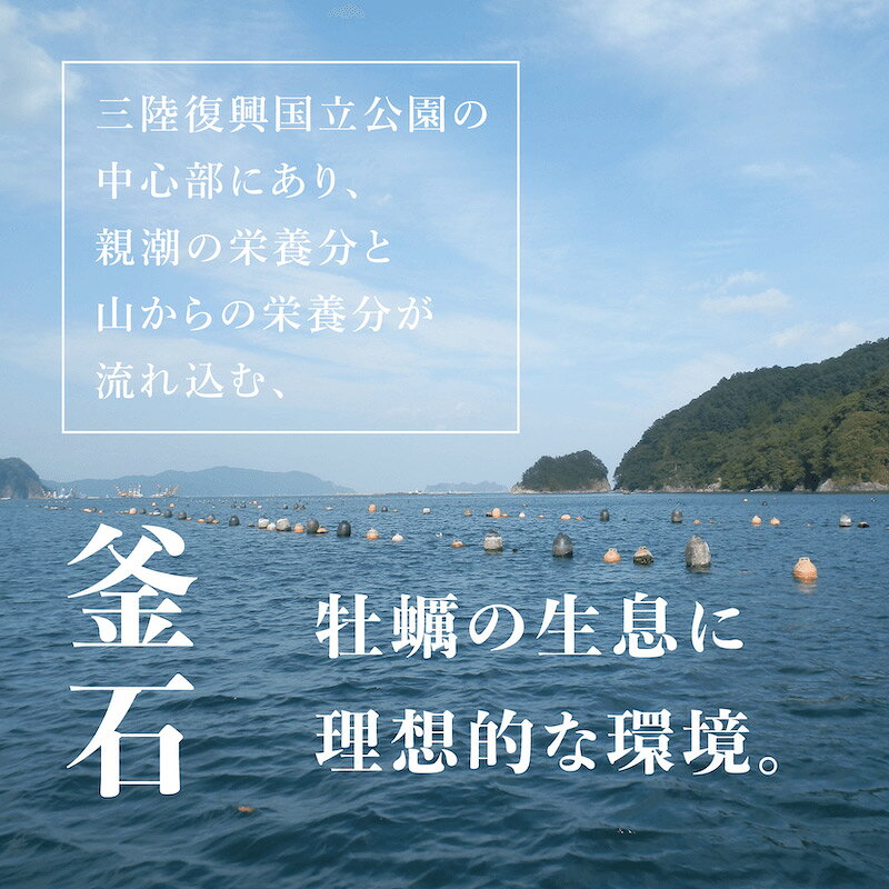 生食用 殻付き 真牡蠣 岩手県 釜石産『尾崎牡蠣』【12個/24個/36個/48個】特許取得済 海洋深層水で浄化された安心・安全な生牡蠣 【軍手・説明書入（牡蠣ナイフ+270円）】おうちでオイスターバー 冷蔵 かき カキ 牡蛎 お中元 ギフト e-oyster-10000014 生牡蠣通販サイト e-oyster サンプル画像2