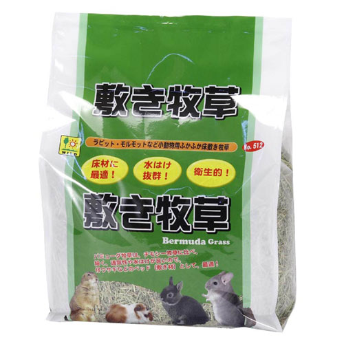 草食動物用の敷材としても幅広く使用されている、耐暑性・耐干性に優れた牧草です。敷き牧草（バミューダグラス）約1…