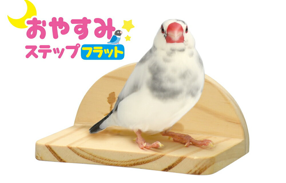 小型インコ、中型インコやフインチ等のフラットタイプの小鳥用とまり木！おやすみステップフラット[三晃商会]