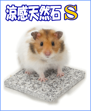 楽天市場 三晃商会 ハムスター用 涼感天然石s E ペット屋さん 未購入を含む みんなのレビュー 口コミ 楽天市場 三晃商会 ハムスター用 涼感天然石s E ペット屋さん 未購入を含む みんなのレビュー 口コミ