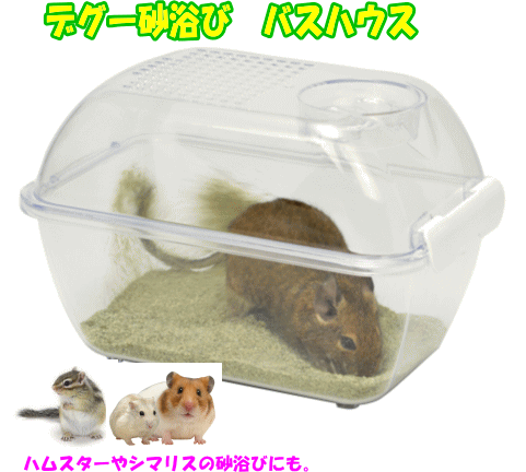 デグー・ハムスター・シマリスの砂浴び容器！デグー砂浴びバスハウス[三晃商会]