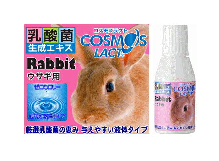 うさぎの1日の与え方や食事量 回数について 世話の基本 うさぎと暮らすマガジン