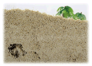 ¿�������̵������褯æ�����̤仨�ݤ��������̤����ꡢ������ɥ���˺�Ŭ���ߤ����Ǥ���������ɥ���Υ��󥴺��ʤ����ѡ�2kg[��������]