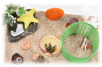 ���ĥ�äƤ�Ů��뤳�Ȥ����ʤ�����Υ�����ɥ����ѤΥס���Ǥ���������ɥ���Υס���[��������]