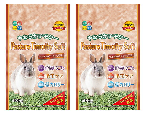 ウサギ モルモット チンチラ等の草食小動物用 ハイペット パスチャーチモシーソフト400g×2個セット