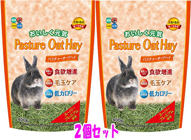 ウサギ モルモット チンチラなどの草食小動物の主食パスチャーオーツヘイ400g×2個セット