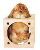 ウサギ・モルモット等の小動物用木製ハウス！キューブハウス