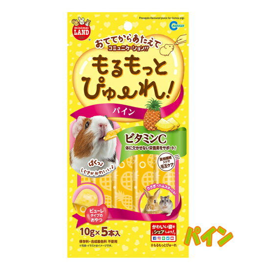 【訳あり品大特価】モルモット・うさぎ・ハムスター・など の小動物に！おててからあたえてコミュニケーション！もるもっとぴゅーれ　パイン[マルカン]【賞味期限2024年5月】