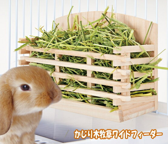 CASA前も横もかじれる牧草入れになるかじり木!かじり木牧草ワイドフィーダー[マルカン]