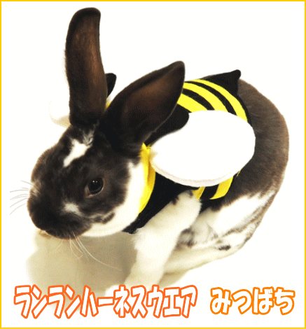 うさぎ用ハーネスのおすすめを教えてください